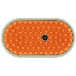 Étrille avec manche HIPPOTONIC - Vapeur