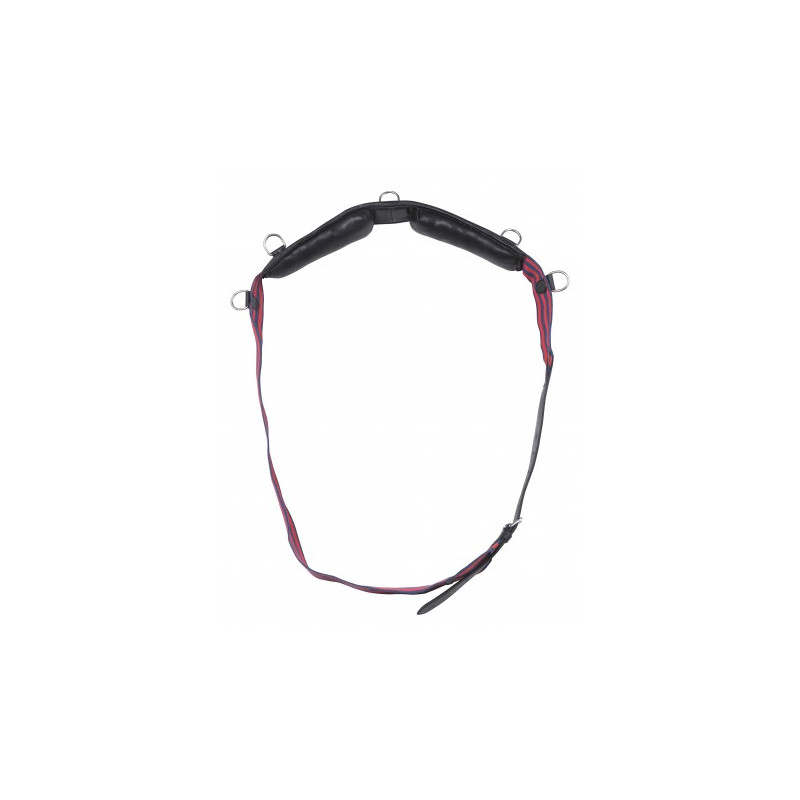 Surfaix sangle NORTON CLUB