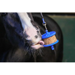 Friandises LIKIT - Granola Allégé