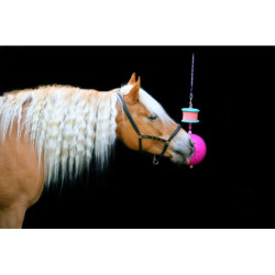 Support LIKIT - Boredom breaker