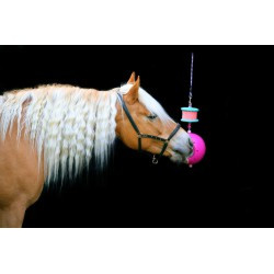 Support LIKIT - Boredom breaker