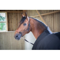 Chemise Light Mesh PADDOCK