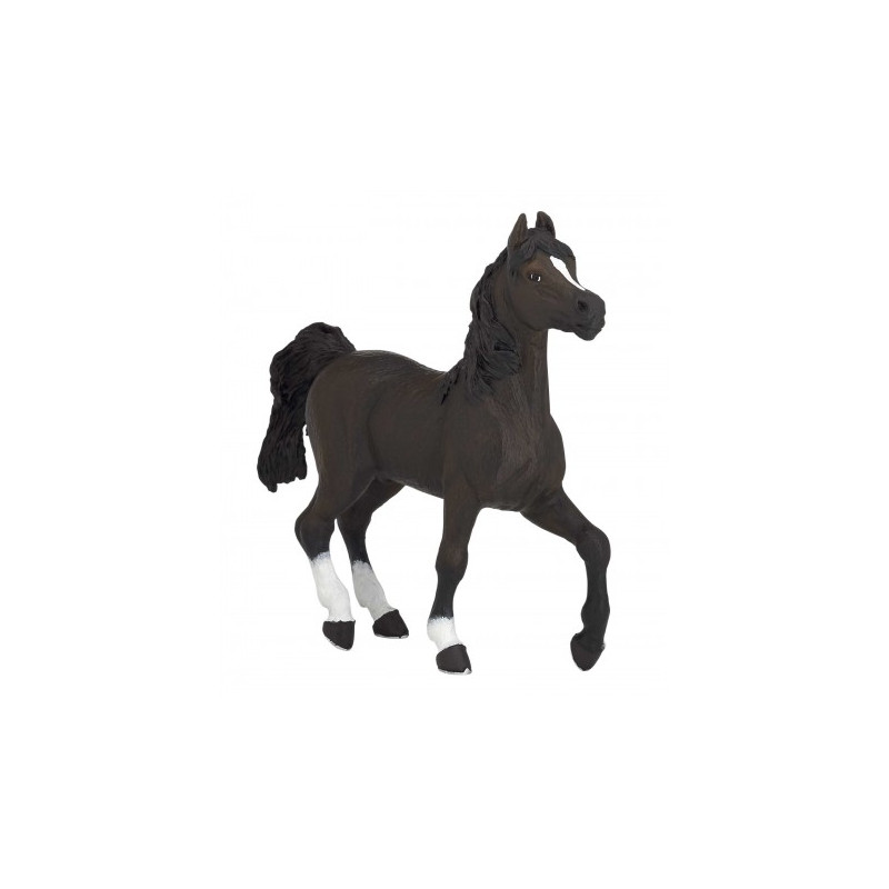 Cheval Arabe PAPO