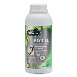 Becool RAVENE