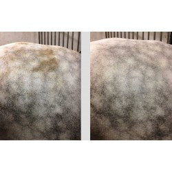 Easy Shine Mouss RAVENE