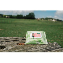 Easy Shine Wipe RAVENE - Lingettes nettoyantes