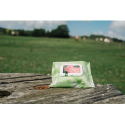 Easy Shine Wipe RAVENE - Lingettes nettoyantes