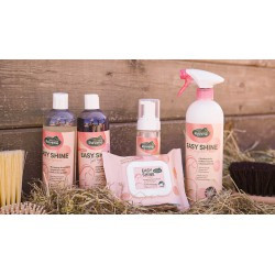 Easy Shine Wipe RAVENE - Lingettes nettoyantes