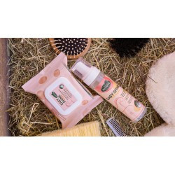 Easy Shine Wipe RAVENE - Lingettes nettoyantes