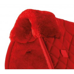 Amortisseur de dos RIDING WORLD