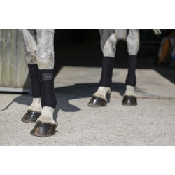 Bandes de polo RIDING WORLD - Eco