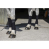 Bandes de polo RIDING WORLD - Eco