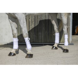 Bandes de polo RIDING WORLD - Eco