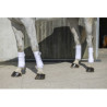 Bandes de polo RIDING WORLD - Eco