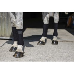 Bandes de polo RIDING WORLD - Eco