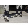 Bandes de polo RIDING WORLD - Eco