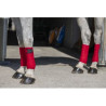 Bandes de polo RIDING WORLD - Eco