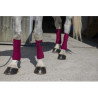 Bandes de polo RIDING WORLD - Eco