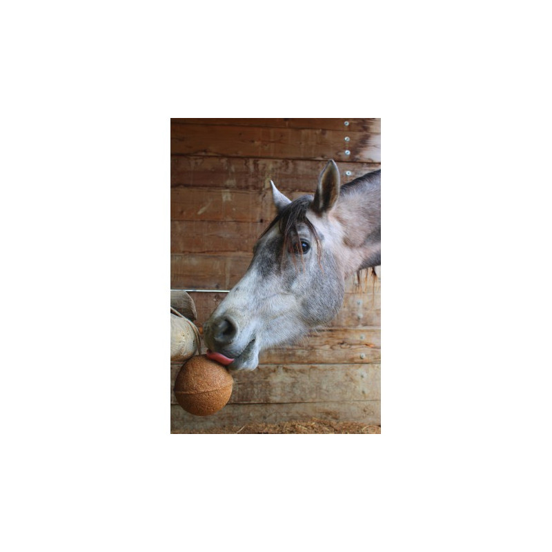 Aliment complémentaire UNIKA - Endurance