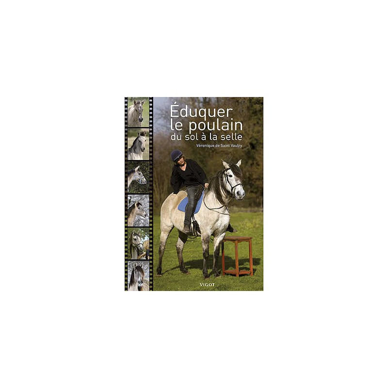 Éduquer le poulain du sol à la selle