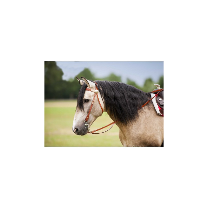 Bridon WESTRIDE - Two Tone