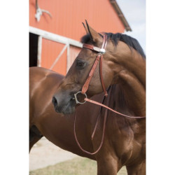 Bridon WESTRIDE - Two Tone