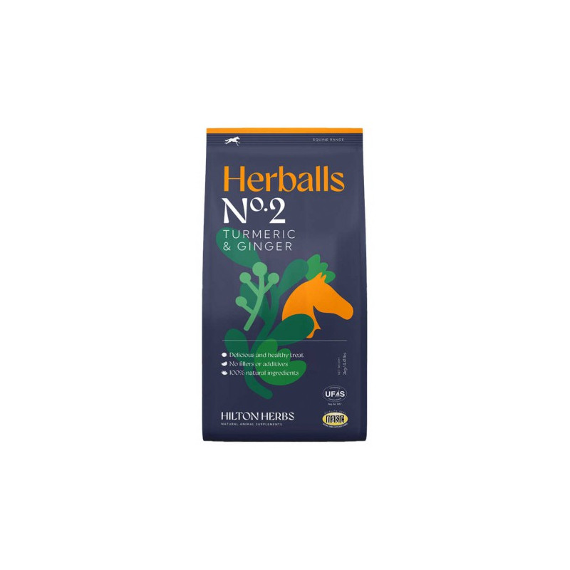 Herballs HILTON HERBS - Curcuma & Gingembre