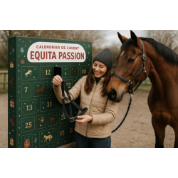Calendrier de l'avent livraison prevue novembre