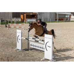 T-shirt PRO SERIES "Aubin"