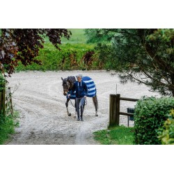 Sweat EQUITHÈME - Hervé