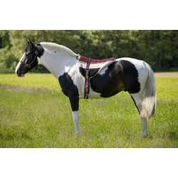 Tapis de monte à cru NORTON