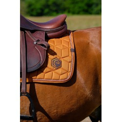 Tapis de selle EQUITHÈME - Hexalight