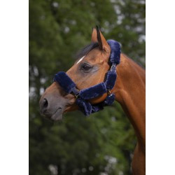 Set pour licol EQUITHÈME "Teddy"