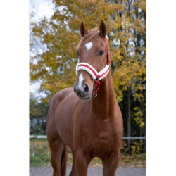 Licol NORTON - Confort