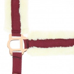 Licol NORTON - Confort