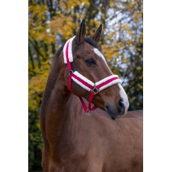 Licol NORTON - Confort