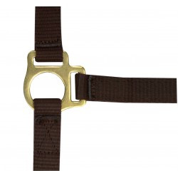 Licol foal + longe NORTON