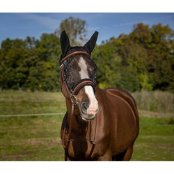 Masque anti-mouches EQUITHÈME -Training-