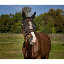 Masque anti-mouches EQUITHÈME -Training-