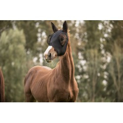 Masque anti-mouches LAMI-CELL Lycra