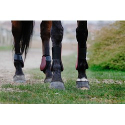 Protège-boulets RIDING WORLD