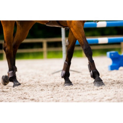 Protège-boulets double coque NORTON "Synthétique"