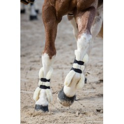 Guêtres NORTON - XTR à boutons et mouton