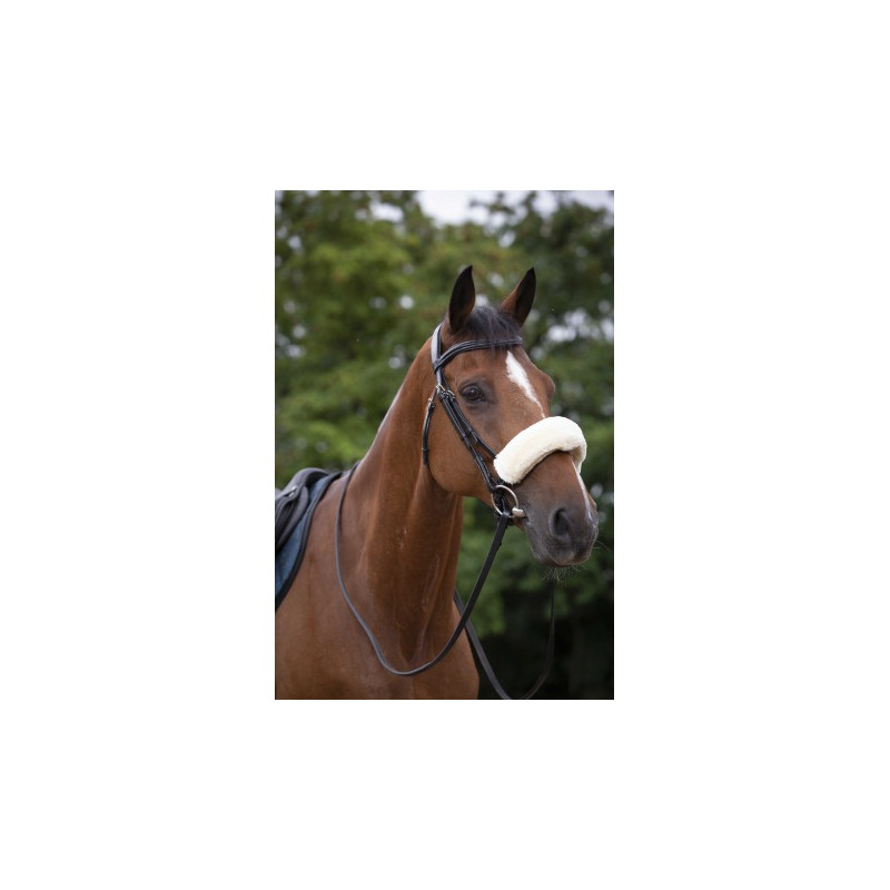 Fourreau de muserolle EQUITHÈME - Teddy