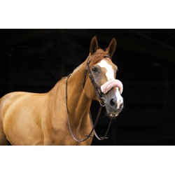 Fourreau de muserolle EQUITHÈME - Teddy