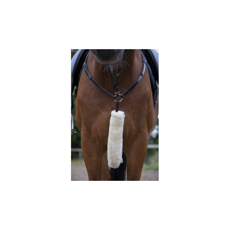 Fourreau de collier de chasse EQUITHÈME - Teddy