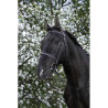 Bridon RIDING WORLD - Muserolle française