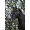 Bridon RIDING WORLD - Muserolle française