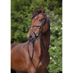 Bridon RIDING WORLD - Muserolle croisée