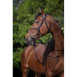 Bridon RIDING WORLD - Muserolle croisée